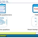 layout of Captivate 8 responsive project
